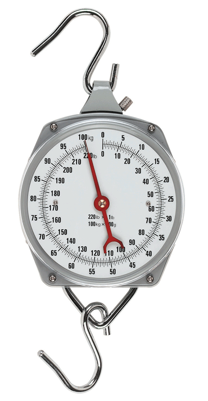 Hanging Scale