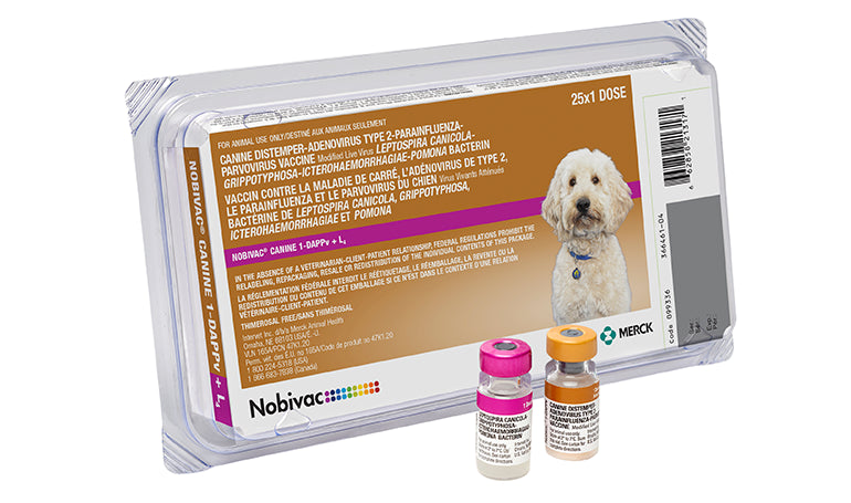 Nobivac Canine 1-DAPPv + L4 - 25 x 1 Dose Tray