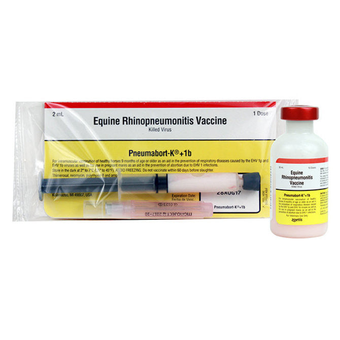 Pneumabort-K + 1B