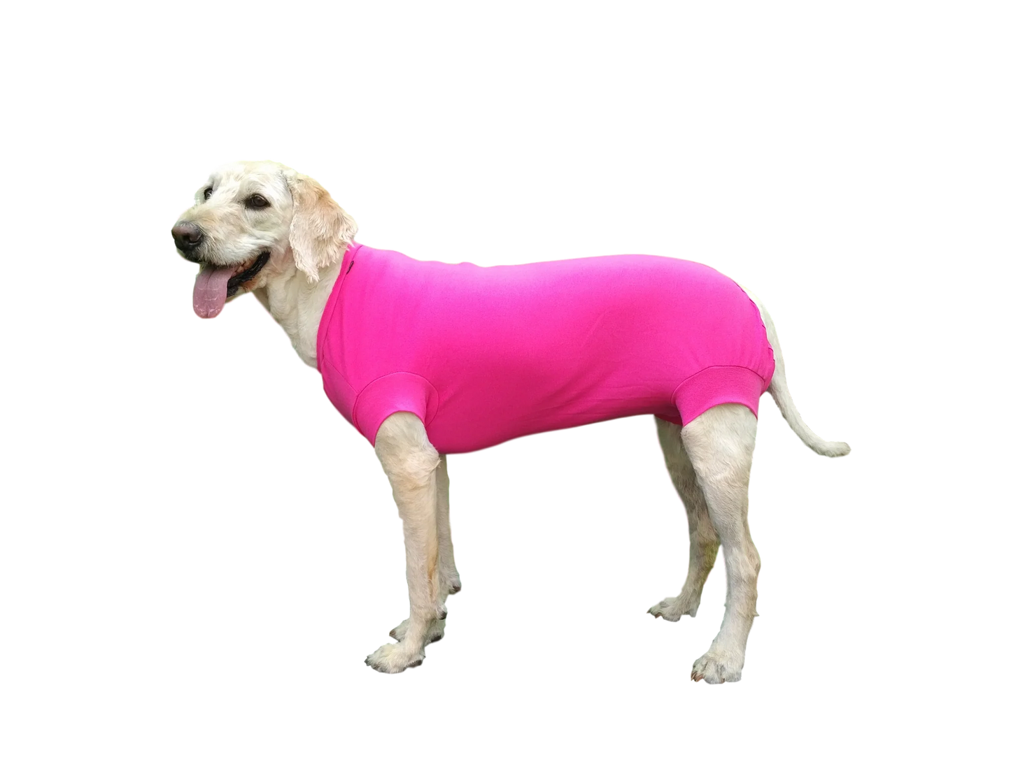 VetMedWear Recovery Suit