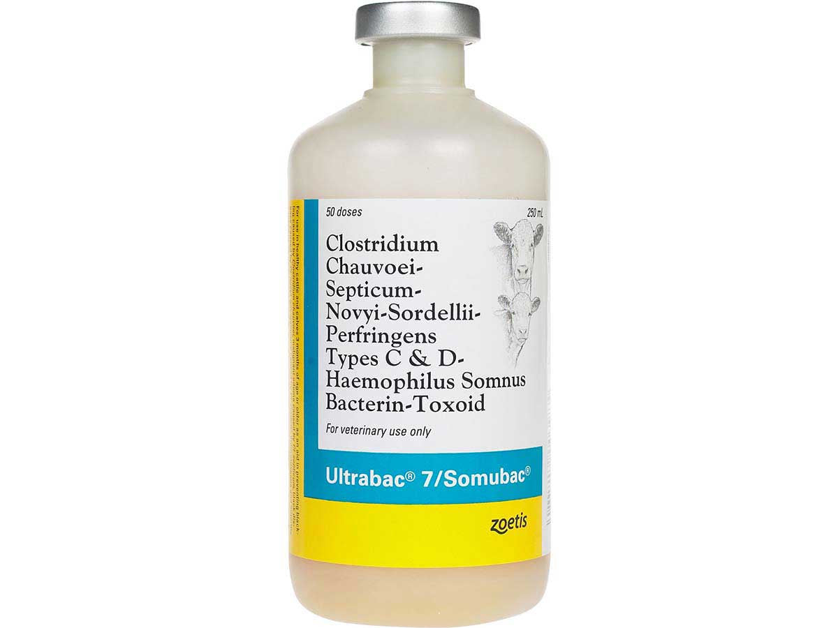 Ultrabac 7/Somubac