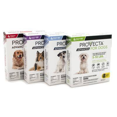 Provecta Advanced Dog - 4 Pack