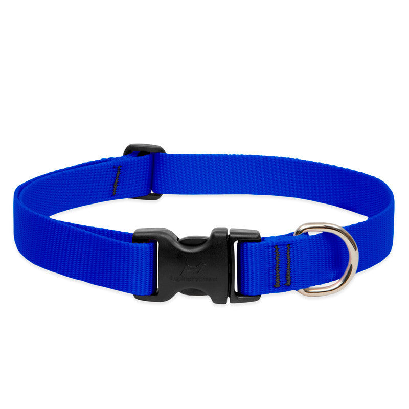 Lupine Collars & Leashes - 1"