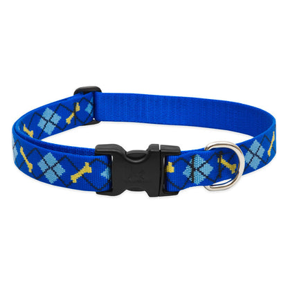 Lupine Collars & Leashes - 1"