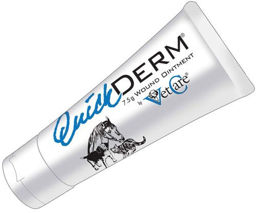 QuickDerm Advanced Wound Ointment