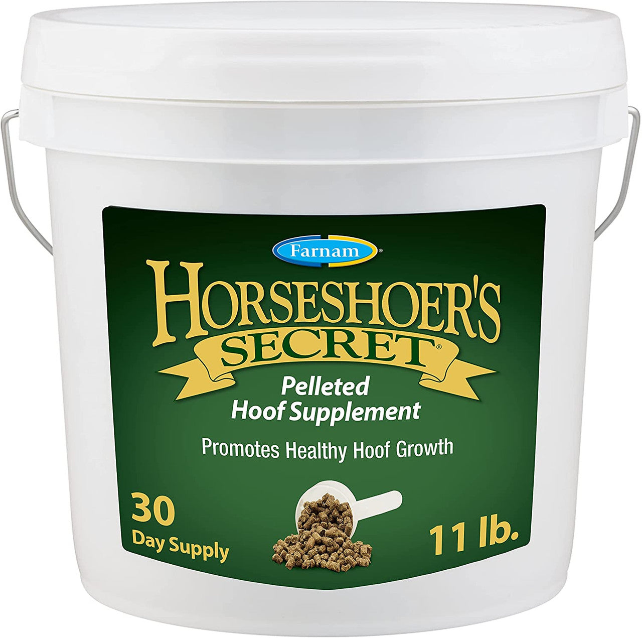 Horseshoer's Secret  - 11#