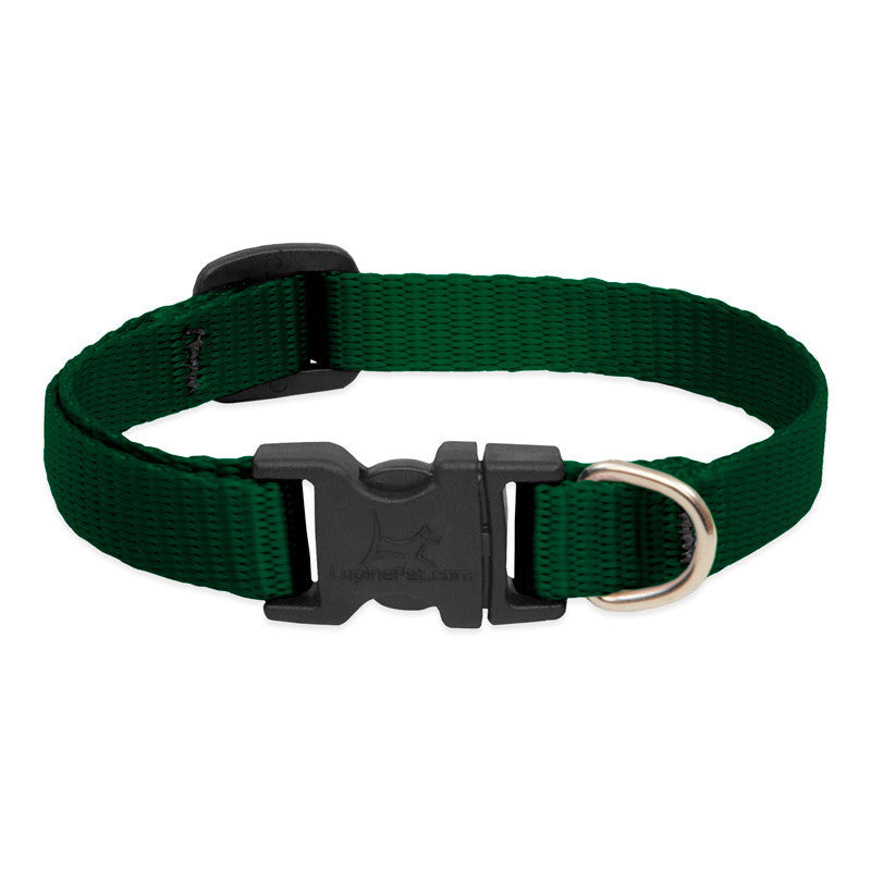 Lupine Collars & Leashes - 1/2"