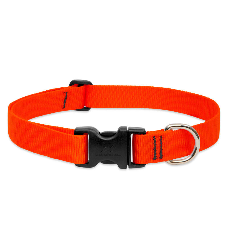 Lupine Collars & Leashes - 1"