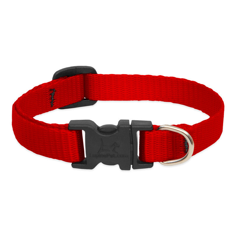 Lupine Collars & Leashes - 1/2"