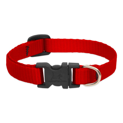 Lupine Collars & Leashes - 1/2"