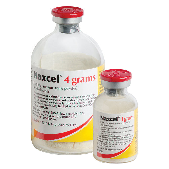 Naxcel (ceftiofur sodium) Sterile Powder – JRG Livestock & Pet Supply