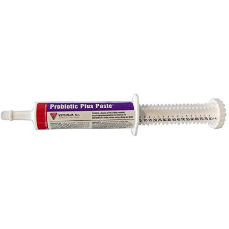 Probiotic Plus Paste 80mL